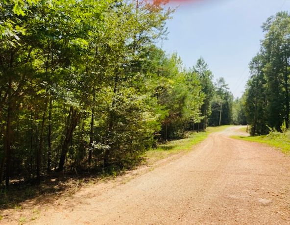 Lot 33 Woodgate Shores Dr: Lot 33 Woodgate Shores Dr, Wedowee, AL 36278